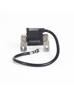 Bobine Briggs &amp; Stratton 590455, 799382, 792361, 793354, 796964
