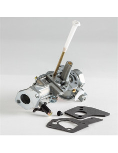 Carburateur Briggs &amp; Stratton 492611 - 495426 - 498298 - 692784
