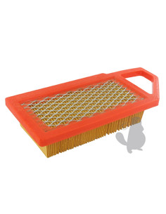 Filtre à air Tracteur Tondeuse GGP, STIGA WM12 118550321/0