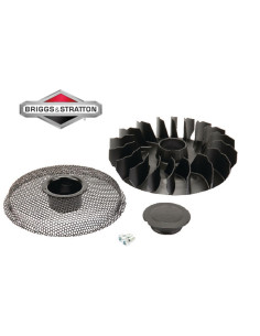 Ventilateur de volant magnétique Briggs &amp; Stratton 796083 - 796201