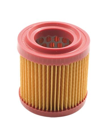 Filtre à air AS Motor 4221