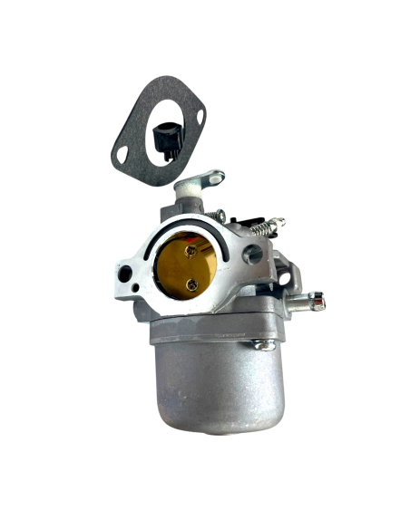 Carburateur pour moteur Briggs &amp; Stratton 498027, 799728, 498231, 499