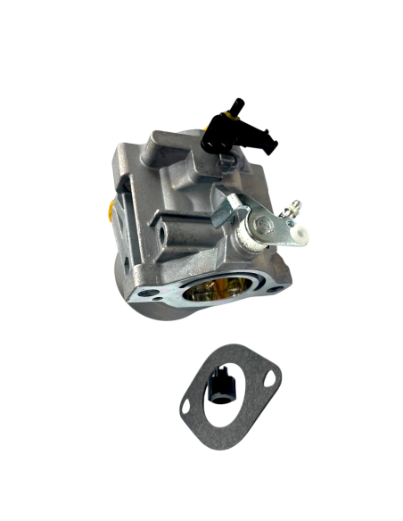 Carburateur pour moteur Briggs &amp; Stratton 498027, 799728, 498231, 499