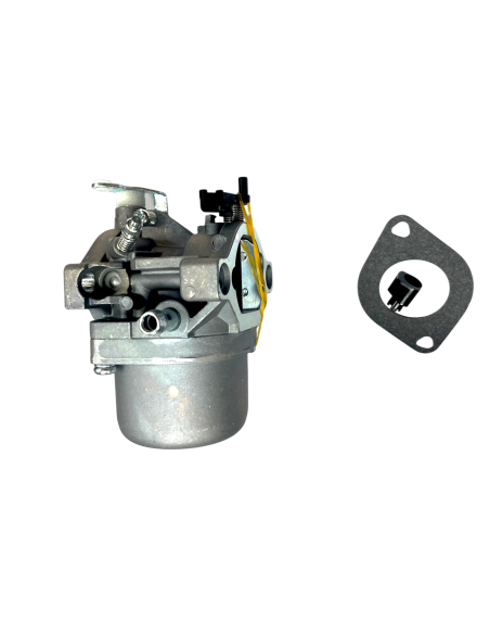 Carburateur pour moteur Briggs &amp; Stratton 498027, 799728, 498231, 499