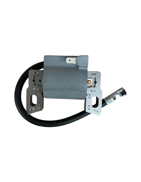 Bobine Allumage Briggs &amp; Stratton 796500 - 595291