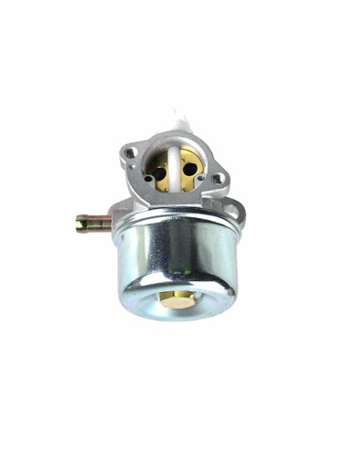 Carburateur pour Briggs &amp; Stratton 799869, 792253 pour série 600