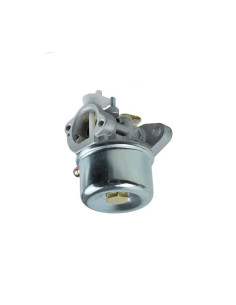 Carburateur pour Briggs &amp; Stratton 799869, 792253 pour série 600 2