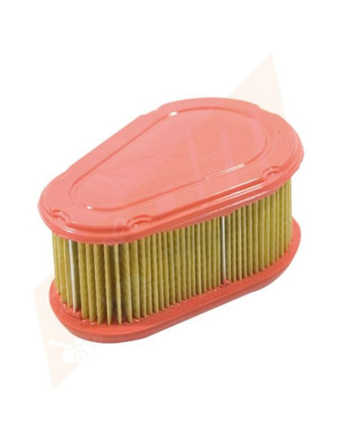 Filtre à air pour BRIGGS &amp; STRATTON 790388 , 792038