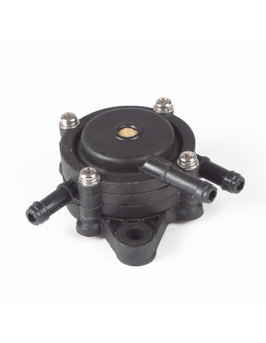 Pompe essence pour Briggs &amp; Stratton 808656 - 491922