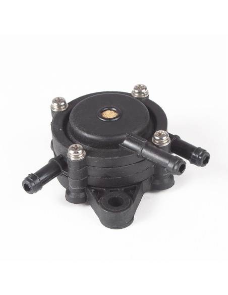 Pompe essence pour Briggs &amp; Stratton 808656 - 491922