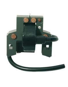 Bobine d'allumage pour BRIGGS &amp; STRATTON 397358, 697037, 395491