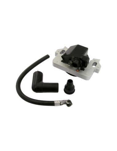 Bobine d'allumage pour HONDA pour GCV135, GCV160 - 30500ZL8004