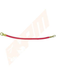 Câble rouge avec cosses (30 cm)