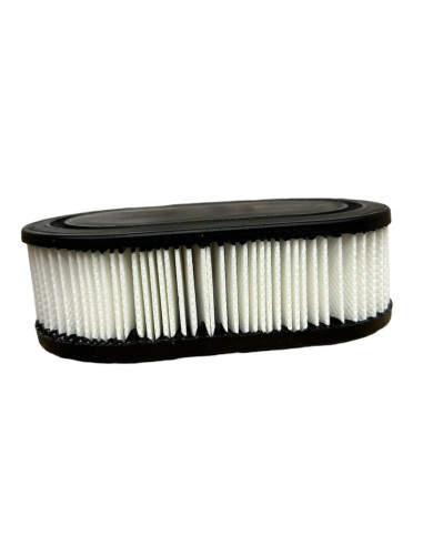 Filtre à air moteur pour BRIGGS et STRATTON  798452 - 593260