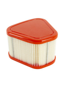 Filtre à air Briggs &amp; Stratton Rempl. 595853 - 597265 pour 115P