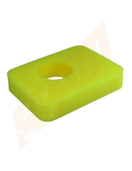 Filtre à air pour Briggs &amp; Stratton 799579