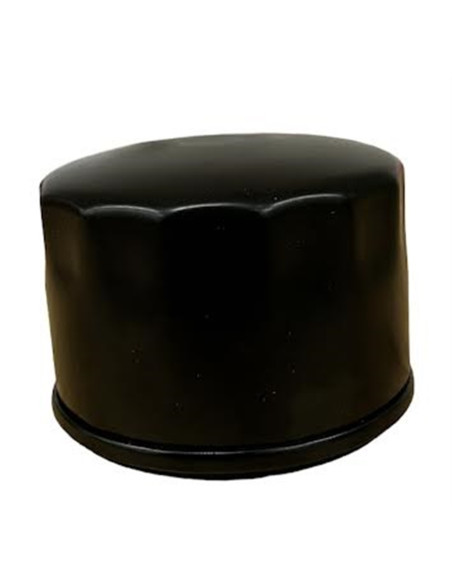 Filtre à huile pour BRIGGS &amp; STRATTON 492932, 842921, 492056