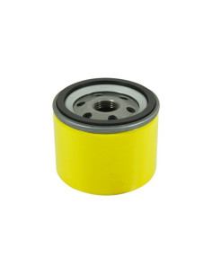 Filtre à huile pour BRIGGS &amp; STRATTON 696854, 695396, 795890