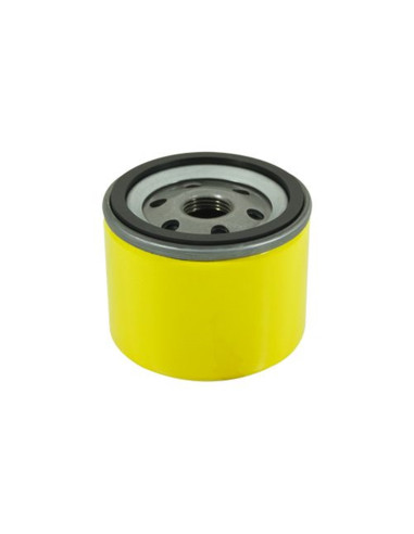 Filtre à huile pour BRIGGS &amp; STRATTON 696854, 695396, 795890