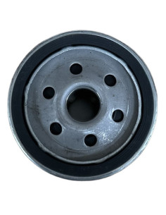 Filtre à huile pour BRIGGS - STRATTON 491056 KOLHER 5205002