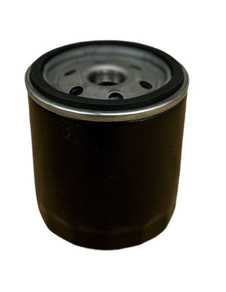 Filtre à huile pour BRIGGS - STRATTON 491056 KOLHER 5205002