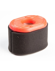 Filtre à air BRIGGS &amp; STRATTON 796970