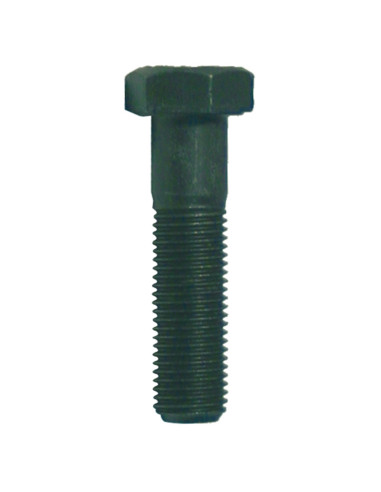 Vis de lame AYP 165484-181713-181858 pas à gauche pour palier PM00084