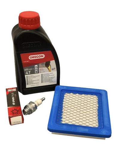 Kit révision moteur Briggs et Stratton série 625E 650E 675E 