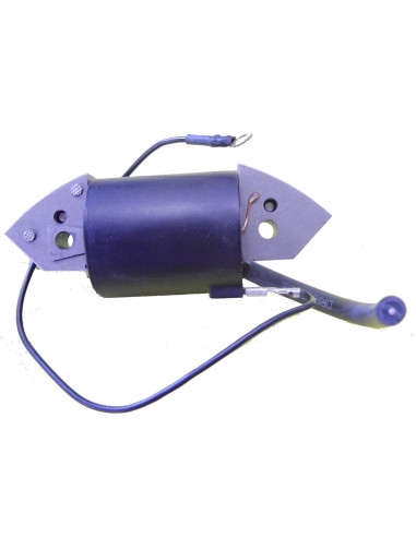 Bobine d'allumage pour Bernard Moteur W110 - 013549, 013541