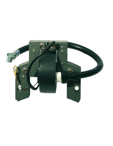 Bobine d'allumage pour BRIGGS & STRATTON 298502, 697036, 395488 Bobine d'allumage pour BRIGGS & STRATTON 298502, 697036, 395488