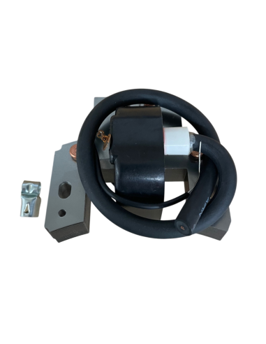 Bobine d'allumage pour Briggs & Stratton 298316 - 395490