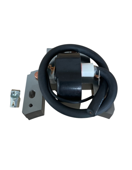 Bobine d'allumage pour Briggs & Stratton 298316 - 395490 Bobine d'allumage pour Briggs & Stratton 298316 - 395490