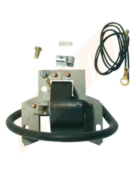 Bobine d'allumage BRIGGS & STRATTON 398593, 793352, 397316, 591420 Bobine d'allumage BRIGGS & STRATTON 398593, 793352, 397316, 591420