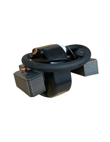 Bobine d'allumage pour Briggs & Stratton 298316 - 395490 Bobine d'allumage pour Briggs & Stratton 298316 - 395490