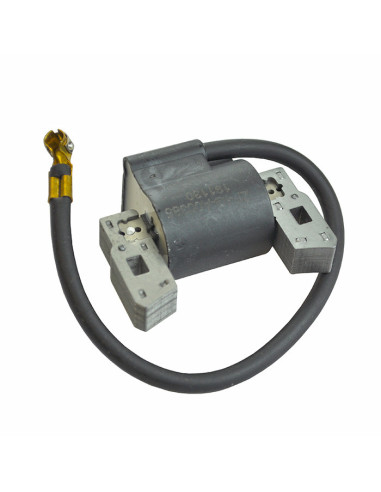 Bobine d'allumage pour BRIGGS & STRATTON 397358, 697037, 395491