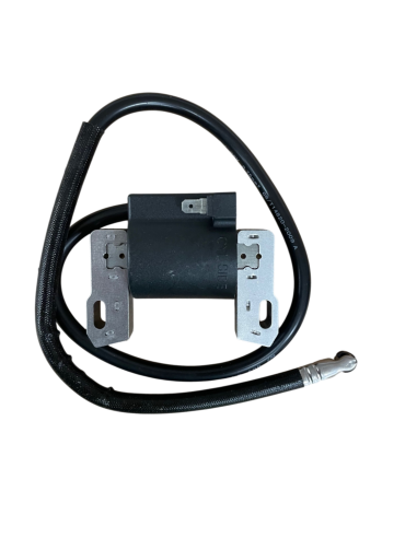 Bobine d'allumage pour BRIGGS & STRATTON 398811, 395492, 398265