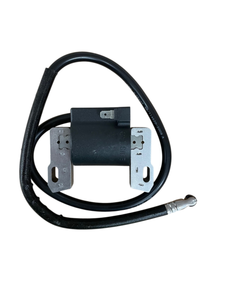 Bobine d'allumage pour BRIGGS & STRATTON 398811, 395492, 398265 Bobine d'allumage pour BRIGGS & STRATTON 398811, 395492, 398265