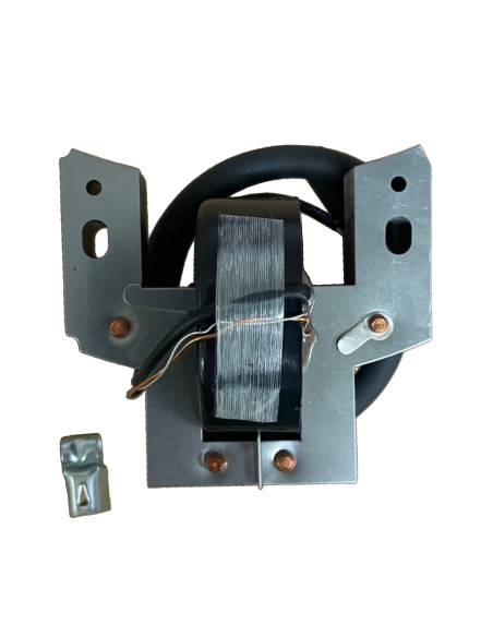 Bobine d'allumage pour Briggs & Stratton 298316 - 395490 Bobine d'allumage pour Briggs & Stratton 298316 - 395490