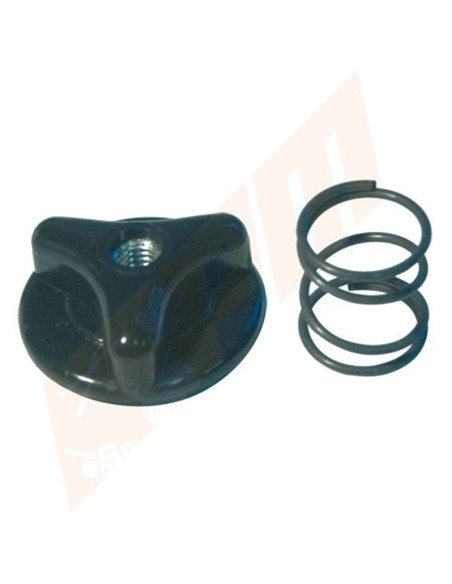 Ressort + écrou tête Proulx PM01464