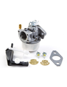 Carburateur Briggs &amp; Stratton 798653 - 698860