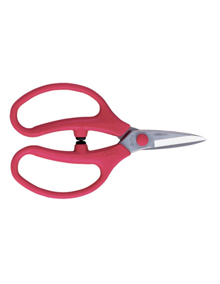 Sécateur floral 16cm, inox, rouge