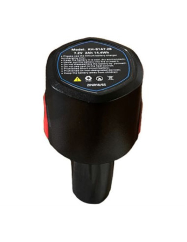 Batterie Blue-Bird pour PS22-23 twin
