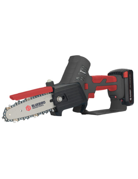 Scie de jardin 21 V - 2,5 Ah Blue Bird CS22-06 TIMBER