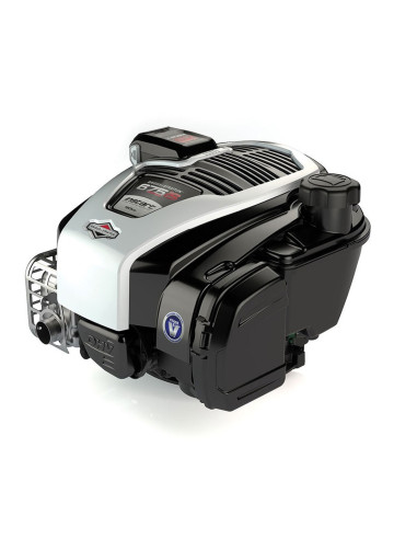 Moteur Intek Briggs &amp; Stratton 163cc Diam 25mm - L 80mm