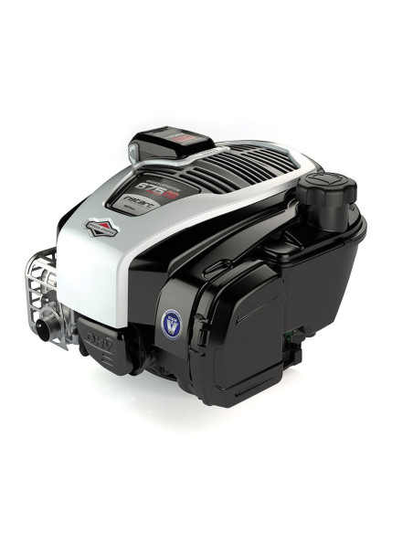 Moteur Intek Briggs &amp; Stratton 163cc Diam 25mm - L 80mm