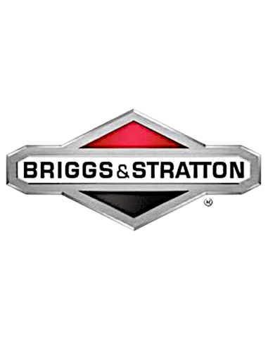 Pochette de joints Briggs&amp;stratton 492653 EX.391834 