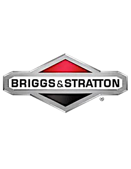 Pochette de joints Briggs&amp;stratton 492653 EX.391834 