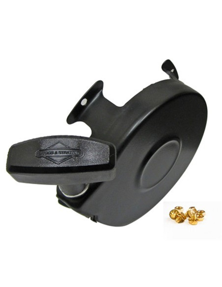 Lanceur complet Briggs and Stratton 390163 - 397124 - 299431 - 555165