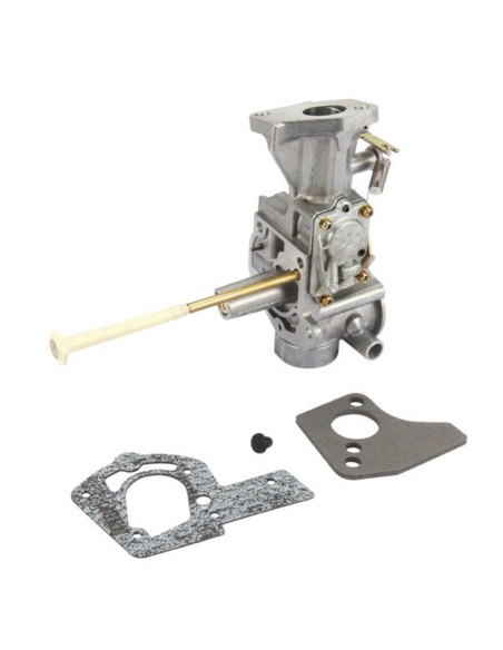 Carburateur Briggs &amp; Stratton 499953, 492643, 495457