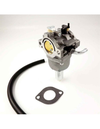 Carburateur Briggs &amp; Stratton 590400-794294-699916-796078-799247